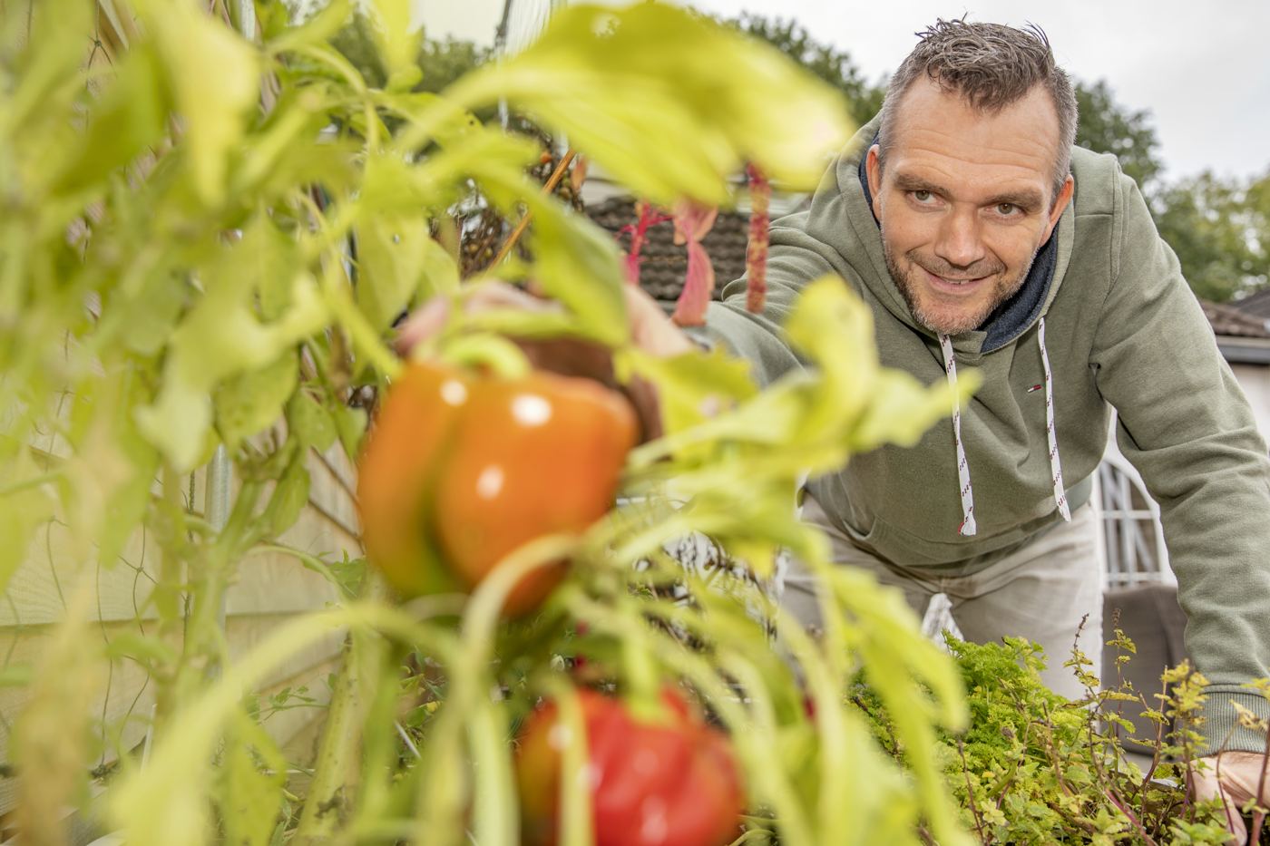 Wout Peters oogst paprika's in de moestuin